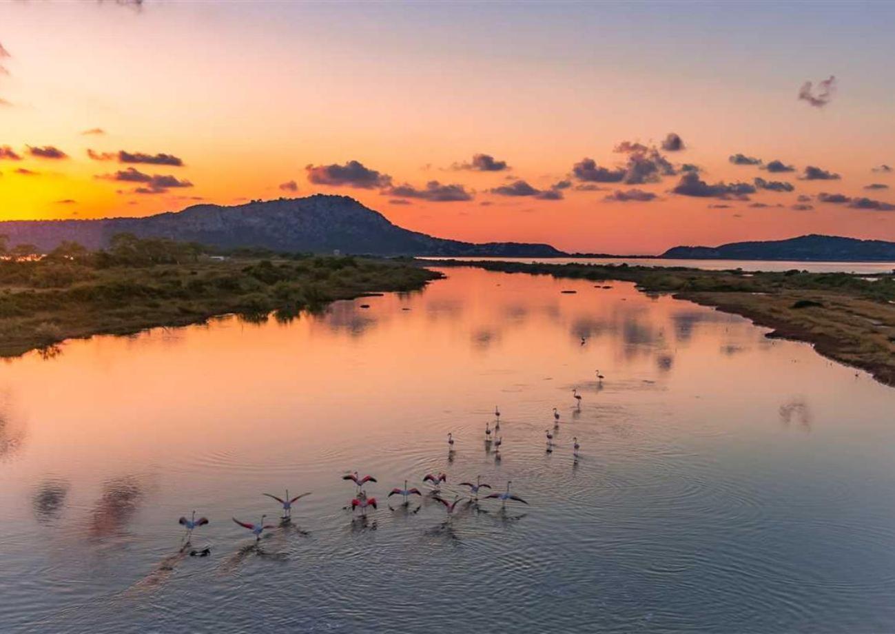Panoraias Luxury Suite Κυπαρισσία Εξωτερικό φωτογραφία
